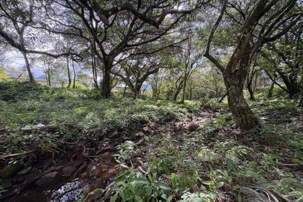Spacious 9,229 m² flat lot in alto boquete