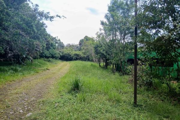 Amplio terreno plano de 9.229 m² en alto boquete