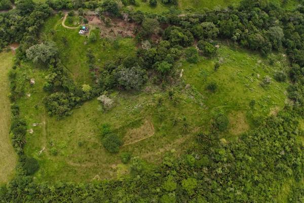 Se vende terreno para desarrollo residencial en el trapichito, la chorrera