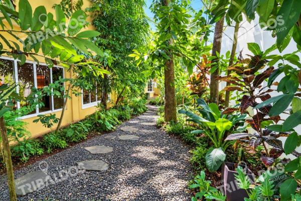 Sale of 2 houses in 1 in costa del este