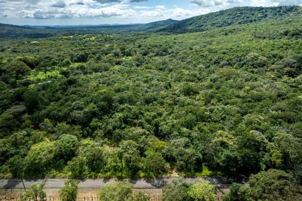 22 hectares of pristine land caldera panama