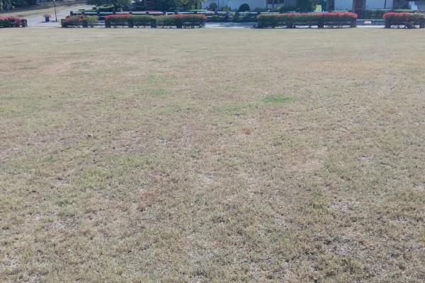 Venta de terreno en punta barco village