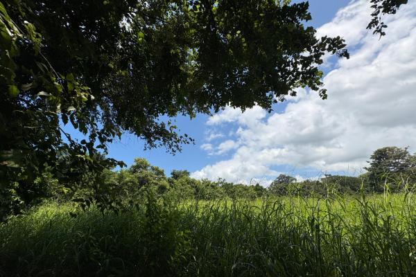 +9 hectáreas de terreno plano frente al mar en venta