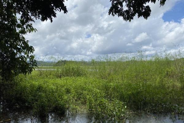 Finca en venta a orillas de lago gatún, colón