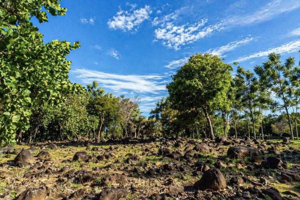 Potrerillos panamá terreno de inversión