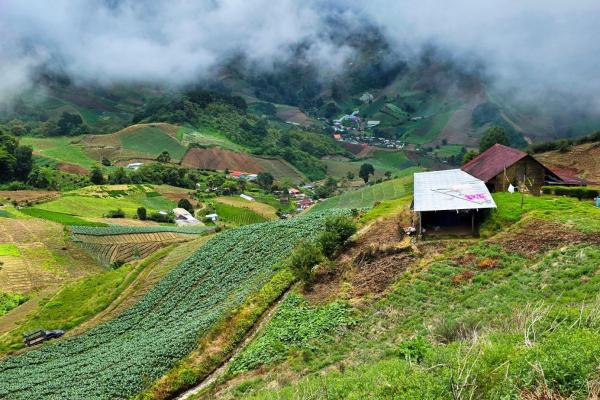 Finca agrícola en venta – cerro punta, chiriquí