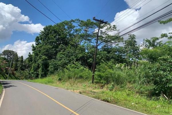 Terreno en venta en bique, arraijan