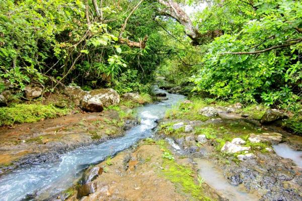 Ocean-view riverfront land-40.66 ha in san carlos
