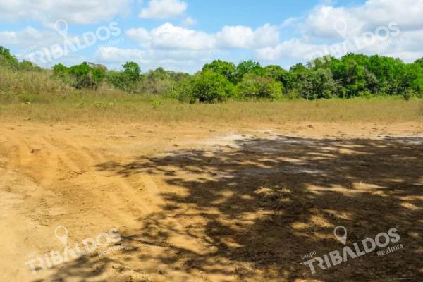 Venta de terreno de 29ha en pacora