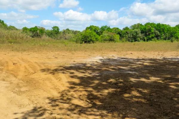 29 ha land for sale in pacora