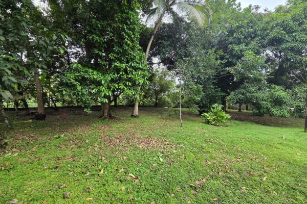 Land for sale in chepo