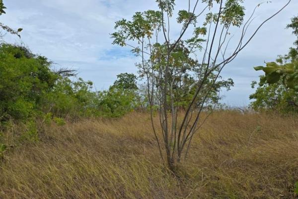 Beachfront development land for sale | el palmar