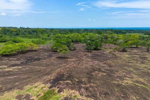Terreno de 8 hectáreas en venta con acceso a la carretera panamericana.