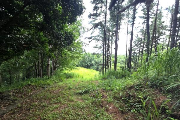 Land for sale in sorá chame