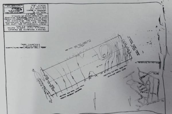 Land for sale of 5000 m2 on the beach of sant