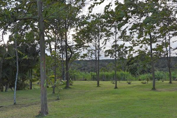 Finca campestre con múltiples edificaciones en palmira