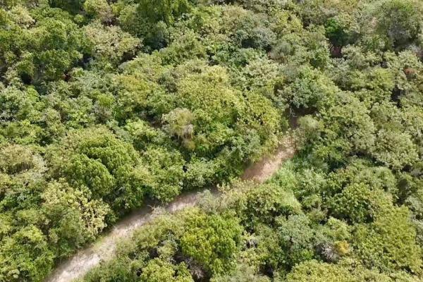 Finca de 4.3 hectareas – proyecto ideal comunidad