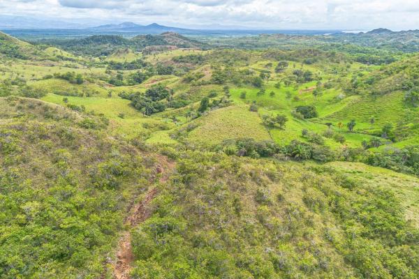 6-hectare hill property for sale in boca chica