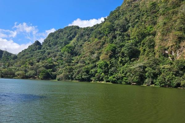 Nature and comfort in perfect harmony.