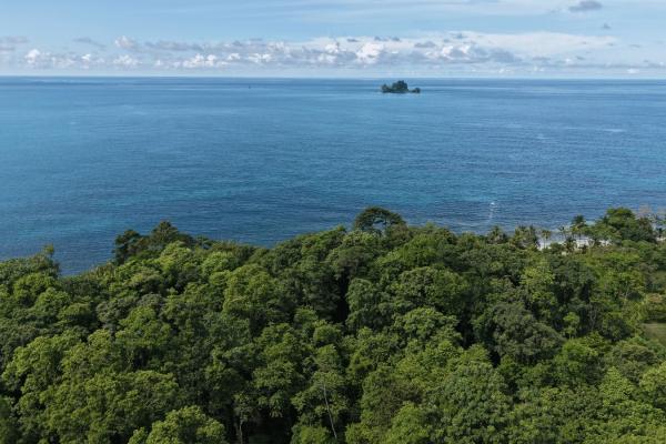 Propiedad boscosa frente al mar de 2,4 hectáreas en drago