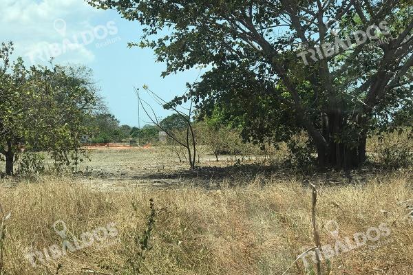 Venta de terreno frente a la panamericana, santa clara