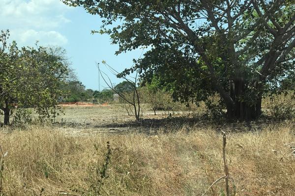 Venta de terreno frente a la panamericana, santa clara