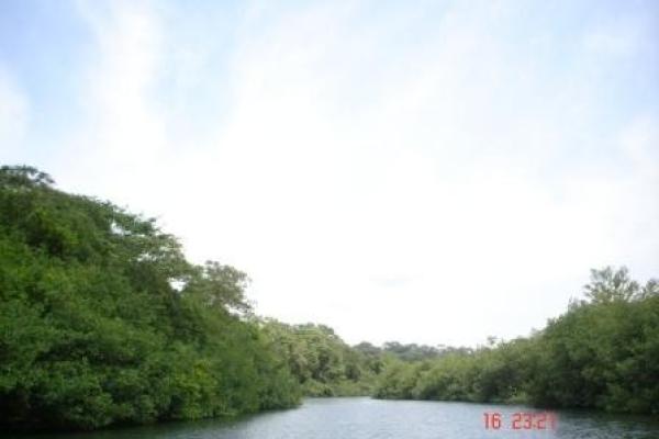 Venta de terreno en peninsula del peregrino, portobelo colón