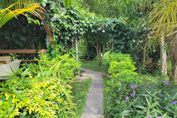 Oasis vía el valle: casa de 4 hab, casita extra, piscina y amplio jardín