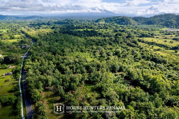 Terreno urbanizable de 11 hectáreas en venta - bagalá, panamá