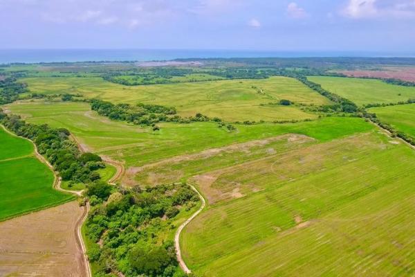 Operating rice farm for sale
