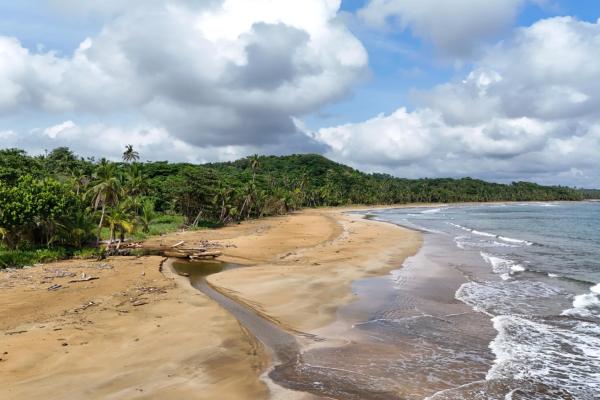 Palmira beach coastal paradise colon, panama