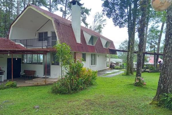 Altos de cerro azul casa en alquiler