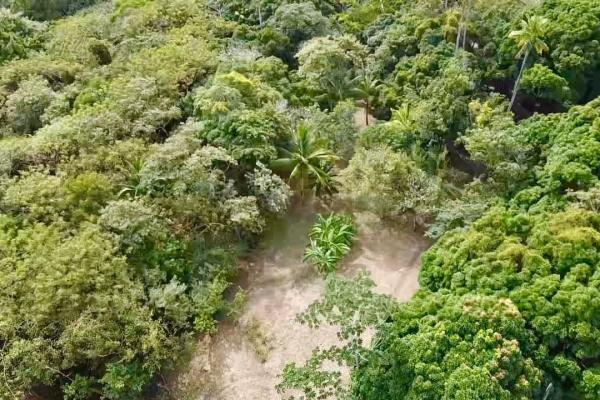 Finca de 4.3 hectareas – proyecto ideal comunidad