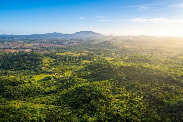 Terreno de 9,4 hectáreas en venta en arraijan central