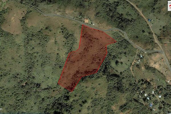Land for sale in sorá