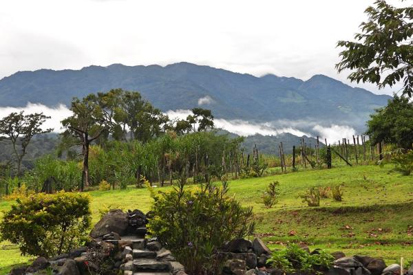 Finca campestre con múltiples edificaciones en palmira