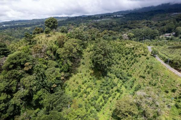 12 plus - ha producing coffee farm in boquete