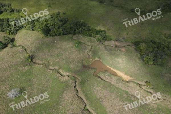 Se vende finca ganadera en margarita de chepo
