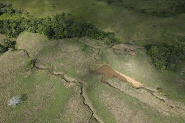 Venta de finca margarita chepo 200 has