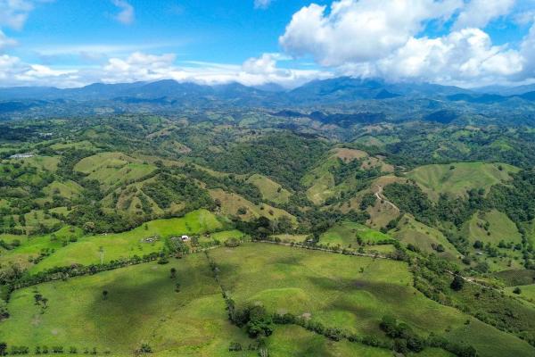 Expansive 146.652 ha property with water sources