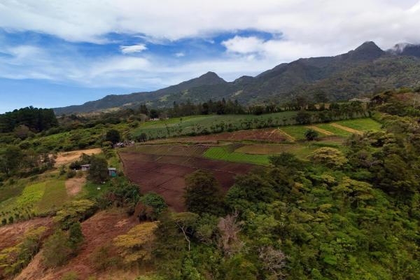 Tierras montañosas en boquete, panamá