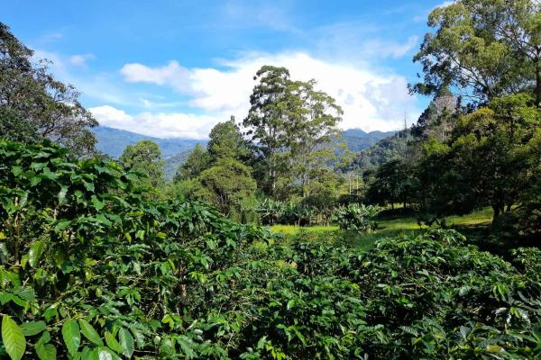 Premium home building lot in las terrazas –boquete