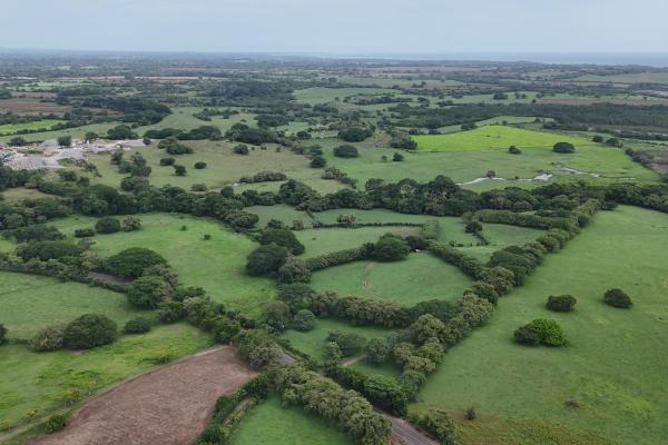 For sale land 9.8 hectares in las tablas
