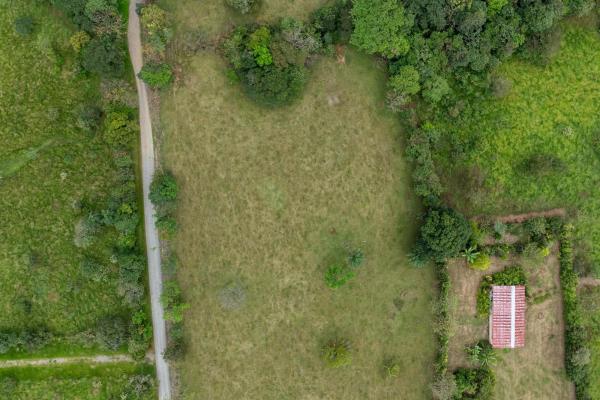 Prime flat land for sale in cochea abajo, david