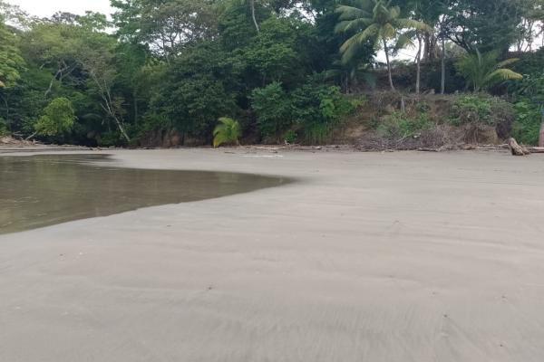 Land 172 acres in puerto armuelles, limones io