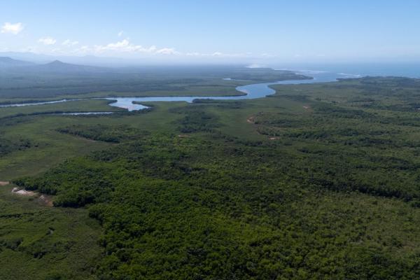 Commercial property in boca chica