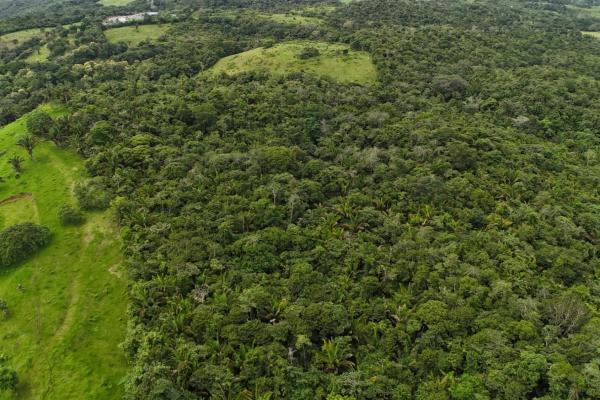 Se vende terreno para desarrollo residencial en el trapichito, la chorrera