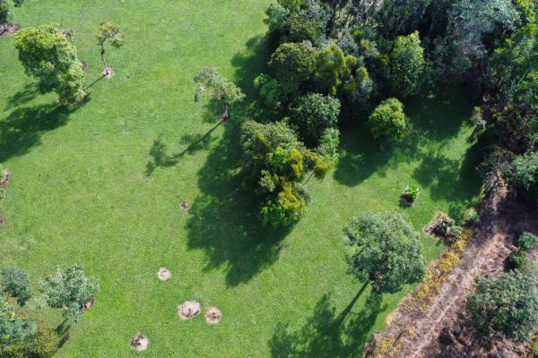 Lote de 1.86 hectáreas en potrerillos arriba dolega