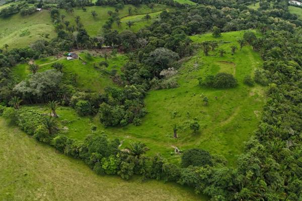 Se vende terreno para desarrollo residencial en el trapichito, la chorrera