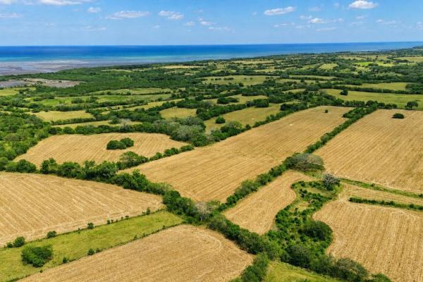 Extensive flat farm for sale near las tablas